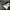 ec042fd1d6f911904a1d2be64c331f68